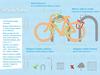 ¿Cómo asegurar tu bicicleta?