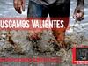 Valientes Race - 27 y 28 de diciembre 2014