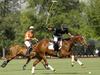Chile será sede del Mundial de Polo 2015