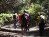31 Frases típicas de quienes practican Trekking