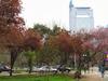 Lugares para correr: Mi ruta favorita es el Parque Bustamante