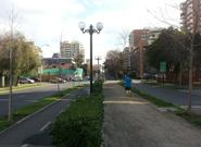 Lugares para correr: Pocuro, un 