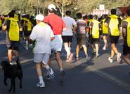 El aguatero: el otro lado de un evento running