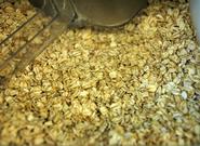 Los beneficios de la avena en los deportistas