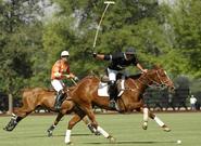 Chile será sede del Mundial de Polo 2015