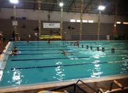 Ejercitando ¿Por qué la natación es el deporte perfecto?