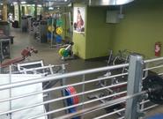 Personajes de Gimnasio