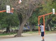 25 signos que indican que eres un fanático del básquetbol