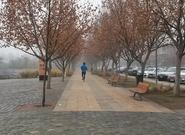 Lugares para correr: Mi ruta favorita es Costanera Sur - Parque Bicentenario