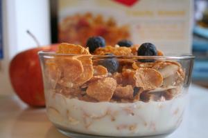 ¿Por qué es importante incluir la fibra en la dieta?