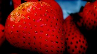 Lo que no conocías sobre la vitamina C