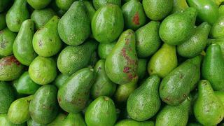 Los beneficios de la palta en los deportistas