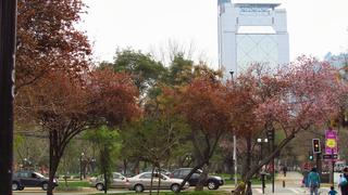 Lugares para correr: Mi ruta favorita es el Parque Bustamante