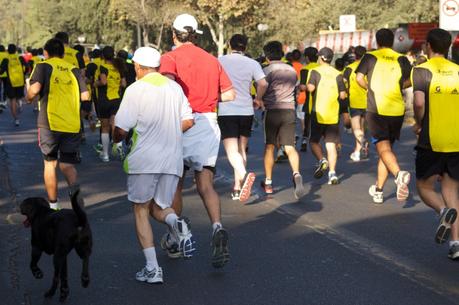 El aguatero: el otro lado de un evento running