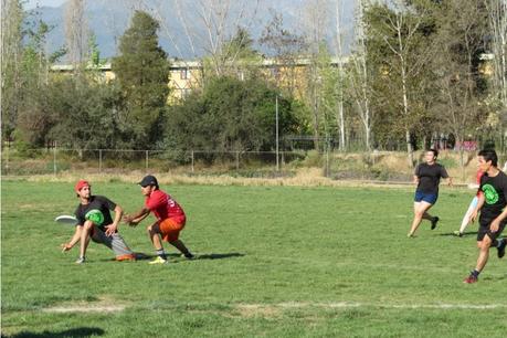 Ultimate, el deporte que llegó a Santiago para quedarse