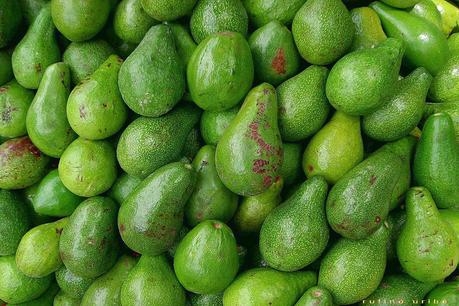 Los beneficios de la palta en los deportistas
