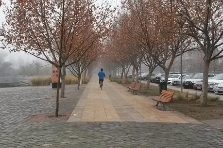 Lugares para correr: Mi ruta favorita es Costanera Sur - Parque Bicentenario