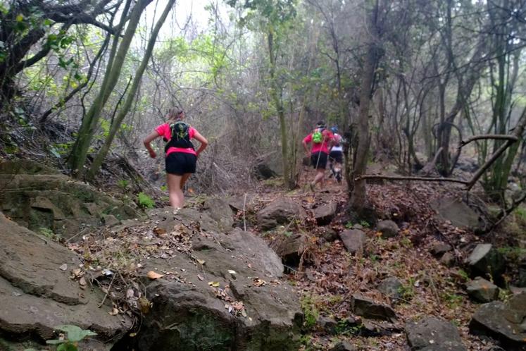 Canela Trail Camp, el campamento de entrenamiento para fanáticos del trail