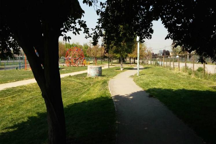 Mi Lugar favorito para salir a correr es: Circuito Tobalaba
