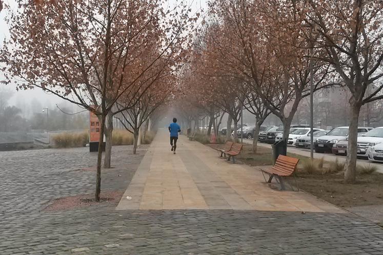 Lugares para correr: Mi ruta favorita es Costanera Sur - Parque Bicentenario