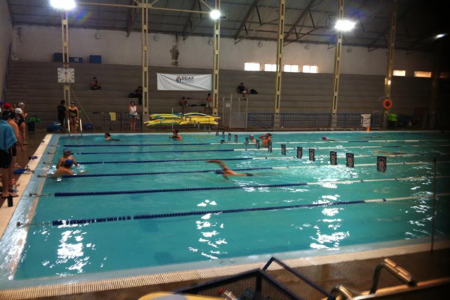 Ejercitando ¿Por qué la natación es el deporte perfecto?