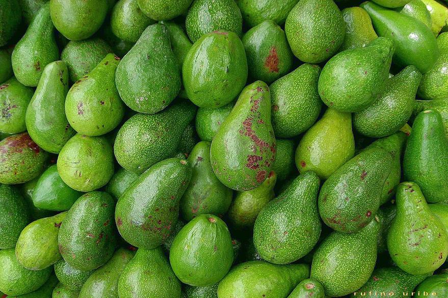 Los beneficios de la palta en los deportistas