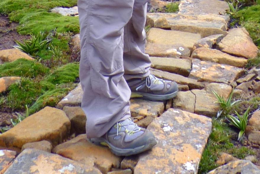 Review: Zapatillas Salomon Ellipse Aero